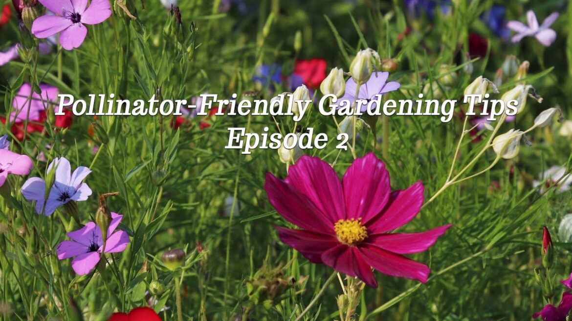Pollinator-Friendly Gardening Tips - EP 2