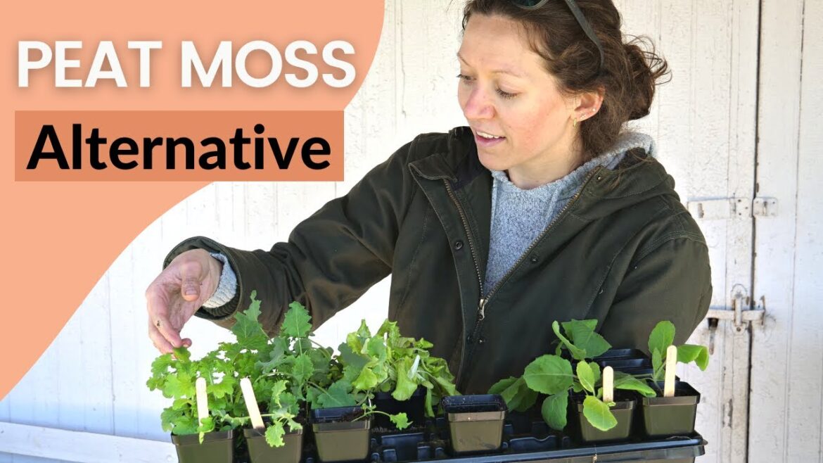 GAME CHANGER for seed starting! GAME CHANGER for seed starting!