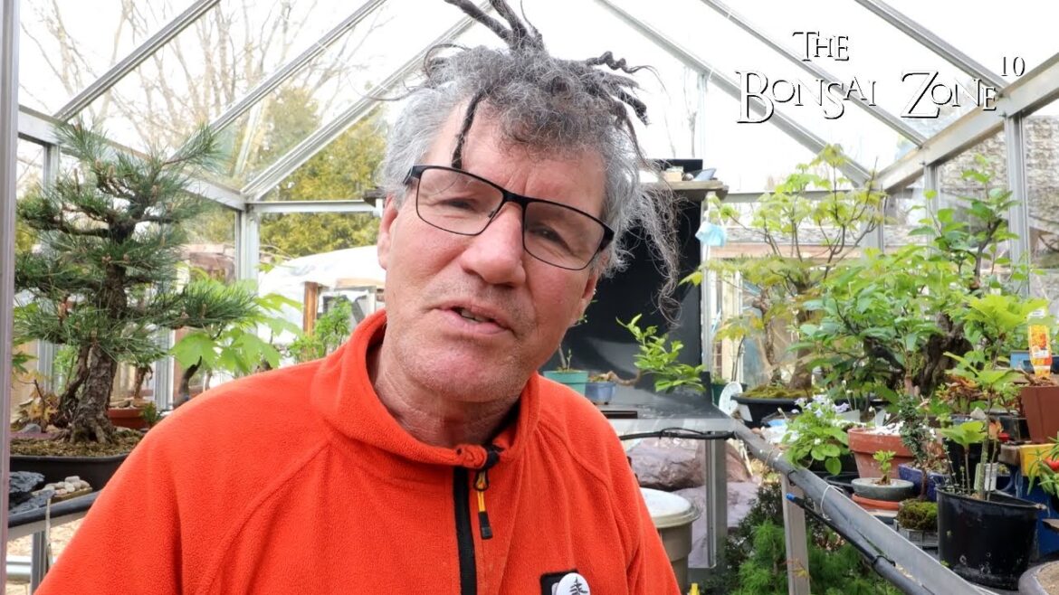 My Spring Greenhouse Tour, Part 2, The Bonsai Zone, April 2023