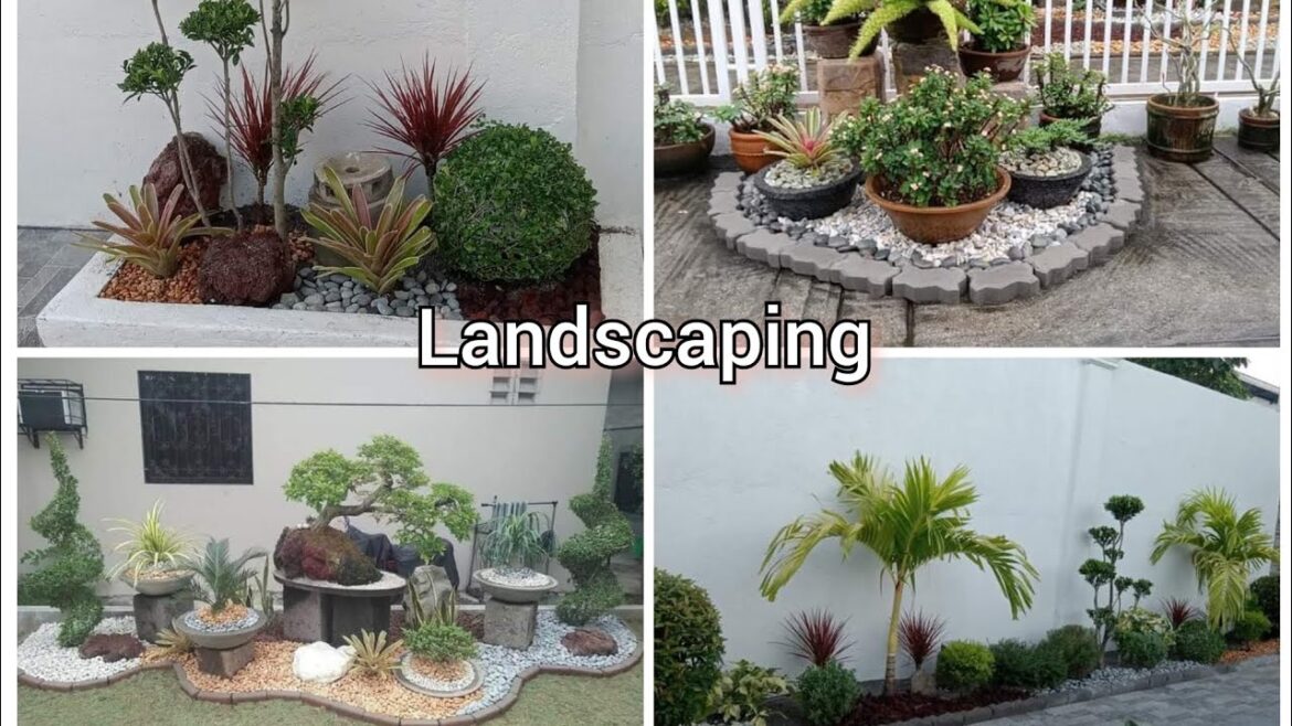 Unique landscaping ideas | Backyard ideas | Lawn decor ideas | landscaping design