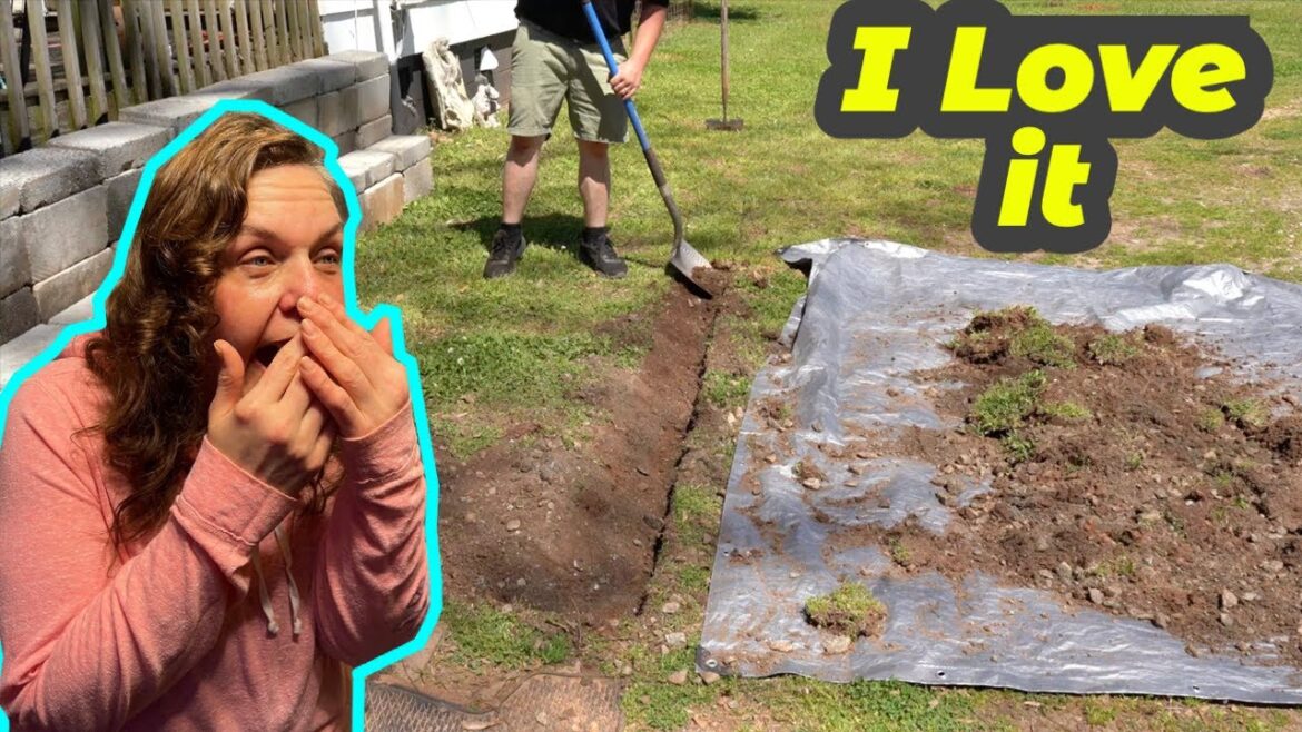 My MOM was STUNNED to see her yard TRANSFORMED My MOM was STUNNED to see her yard TRANSFORMED