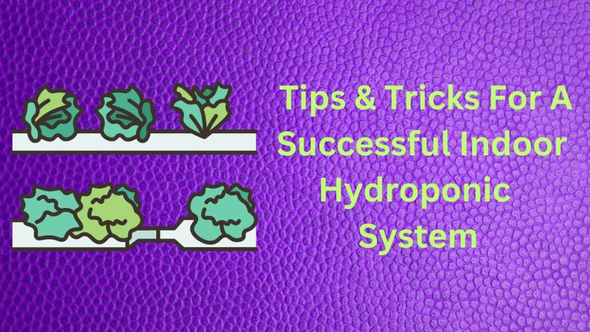 Tips & Tricks For Indoor Hydroponic Gardening