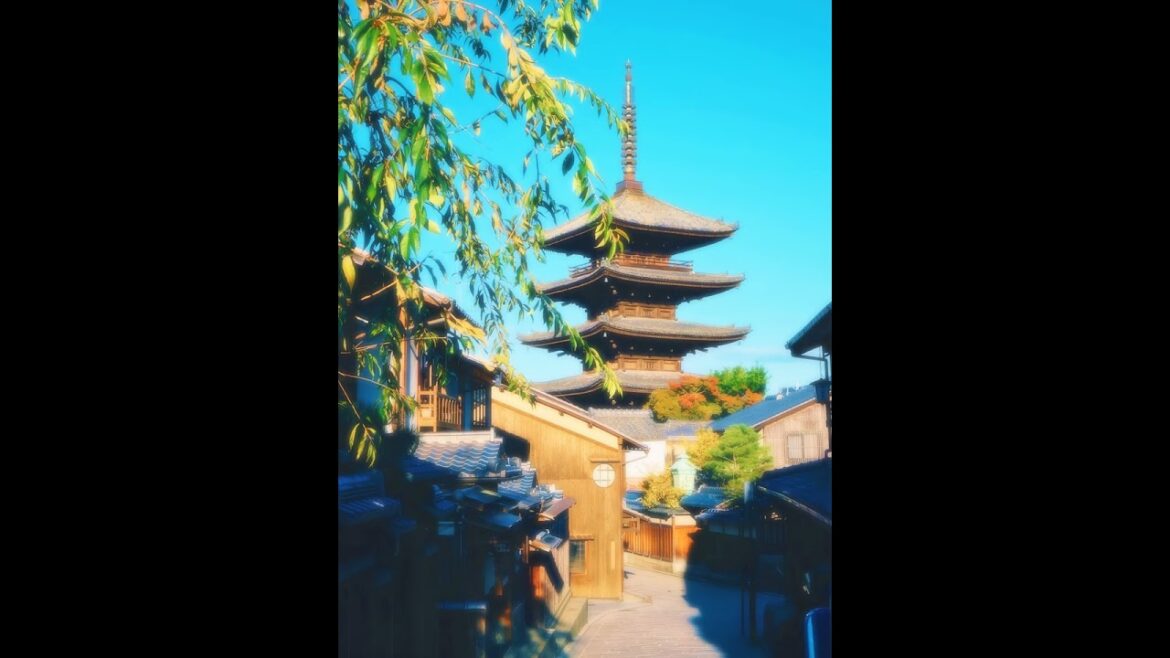 【Japanese Landscape】#shorts #Japan #shrine #view #garden