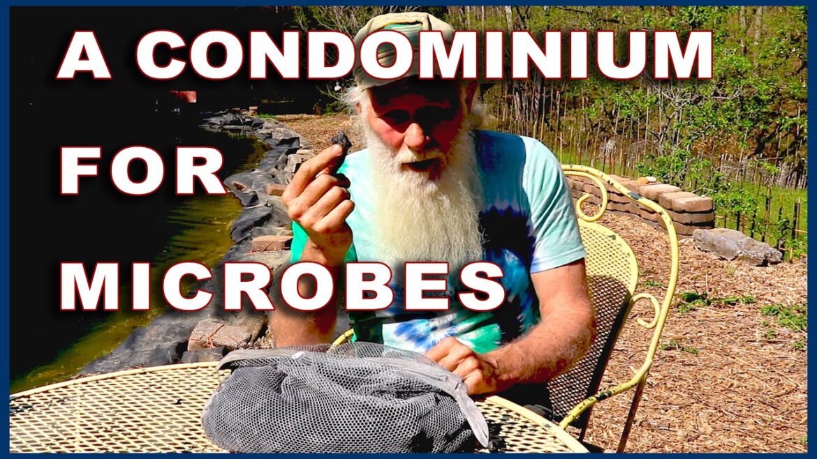 10 Reasons BIOCHAR will SUPERCHARGE your Garden!