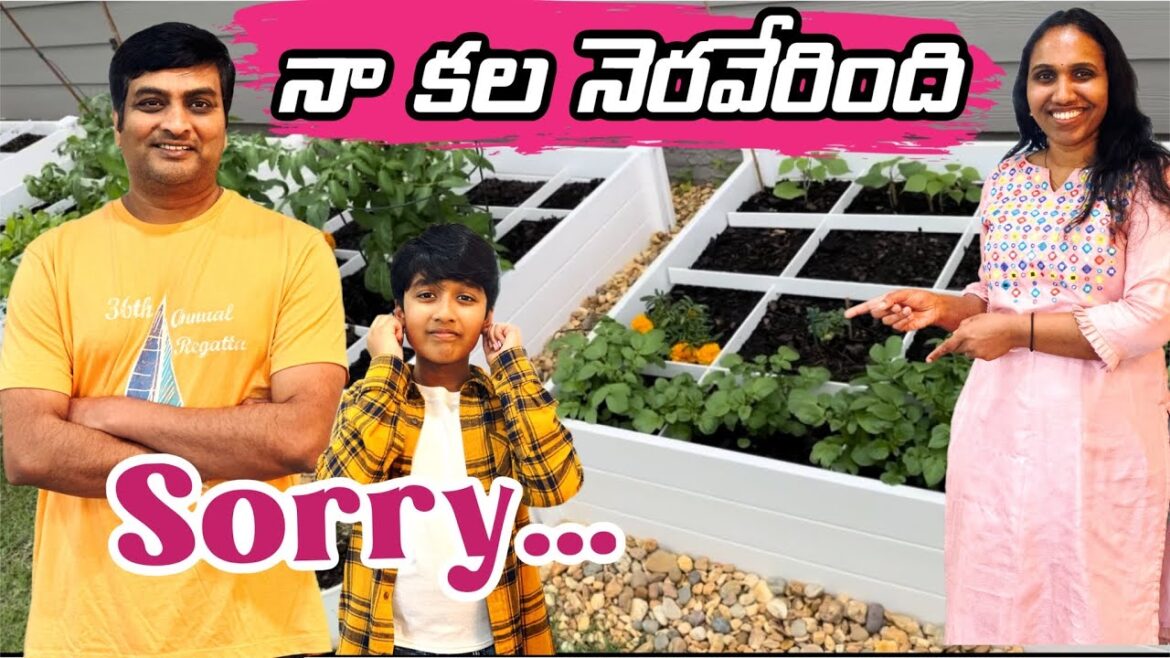 నా కల నెరవేరింది | USA Vegetable Garden | USA Telugu Vlogs | Telugu Vlogs from USA | Theo and Bros నా కల నెరవేరింది | USA Vegetable Garden | USA Telugu Vlogs | Telugu Vlogs from USA | Theo and Bros