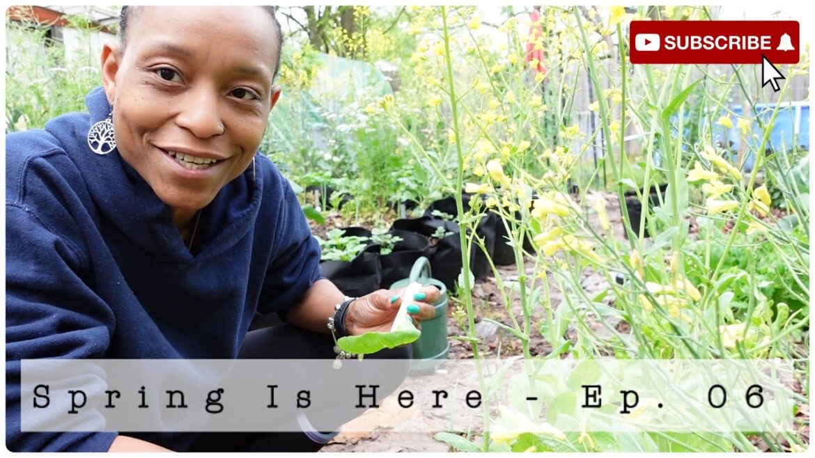 Spring Is Here - Ep 06 | Garden Clearing | Planting Out | Harden Off (Sometimes I Get Overwhelmed)