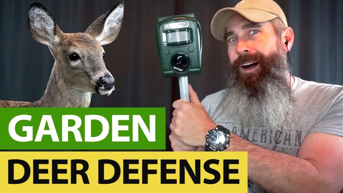 A Few Ways To DEFEND Your Garden A Few Ways To DEFEND Your Garden
