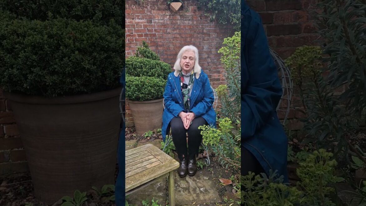 Untangle weed roots when you’re planting or moving plants – don’t plant perennial weeds! Untangle weed roots when you're planting or moving plants - don't plant perennial weeds!