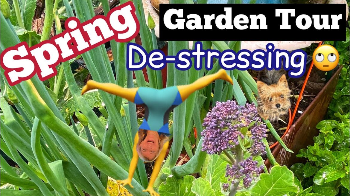 Fun Garden Tour Growing Vegetables Zucchini Kale Collard Container No Dig Gardening Ideas for Home Fun Garden Tour Growing Vegetables Zucchini Kale Collard Container No Dig Gardening Ideas for Home