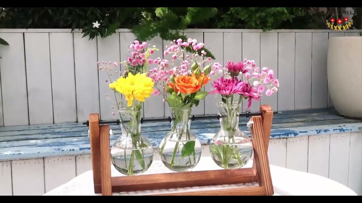 XXXFLOWER Plant Terrarium with Wooden Stand | Air Planter Bulb Glass Vase | Home Garden, 3 Bulb Vase XXXFLOWER Plant Terrarium with Wooden Stand | Air Planter Bulb Glass Vase | Home Garden, 3 Bulb Vase