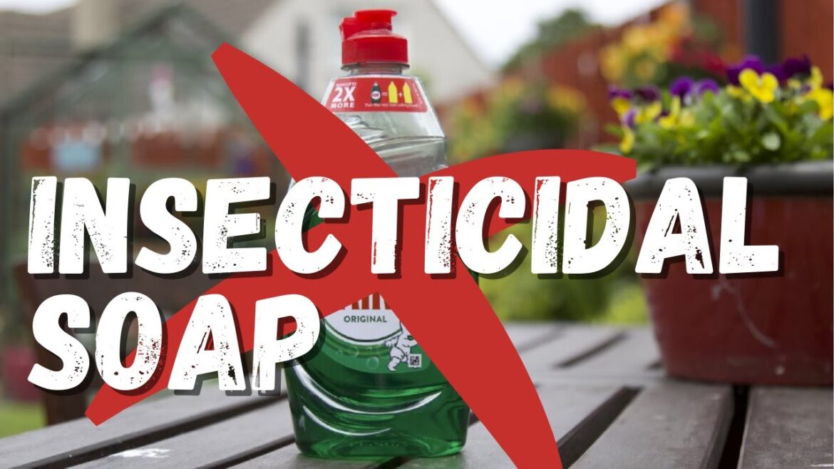 Insecticidal soap: clearing up the confusion about dish soap Insecticidal soap: clearing up the confusion about dish soap