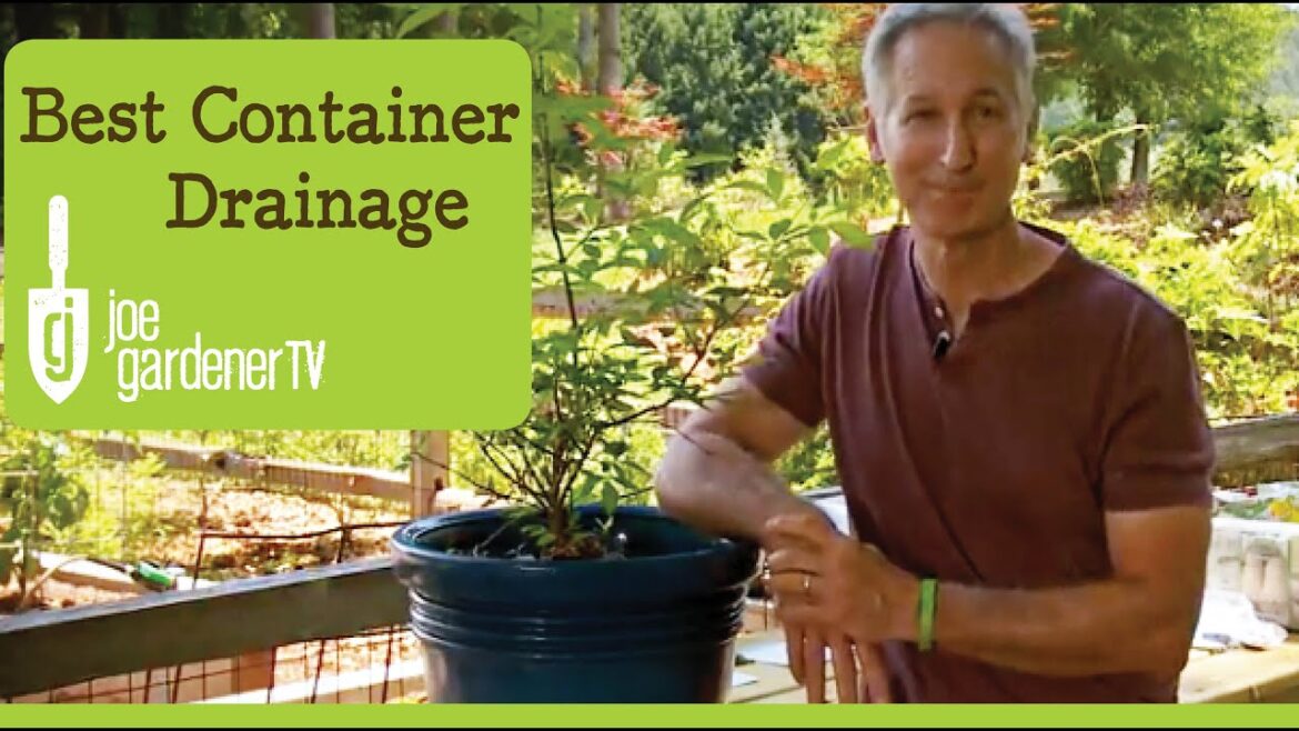 How to Get the Best Drainage for Your Container – Why What You’ve Been Taught is all Wrong How to Get the Best Drainage for Your Container - Why What You've Been Taught is all Wrong