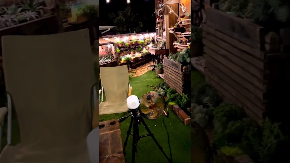 Awe-Inspiring Succulent Plants: Majestic YouTube Shorts #Shorts Awe-Inspiring Succulent Plants: Majestic YouTube Shorts #Shorts