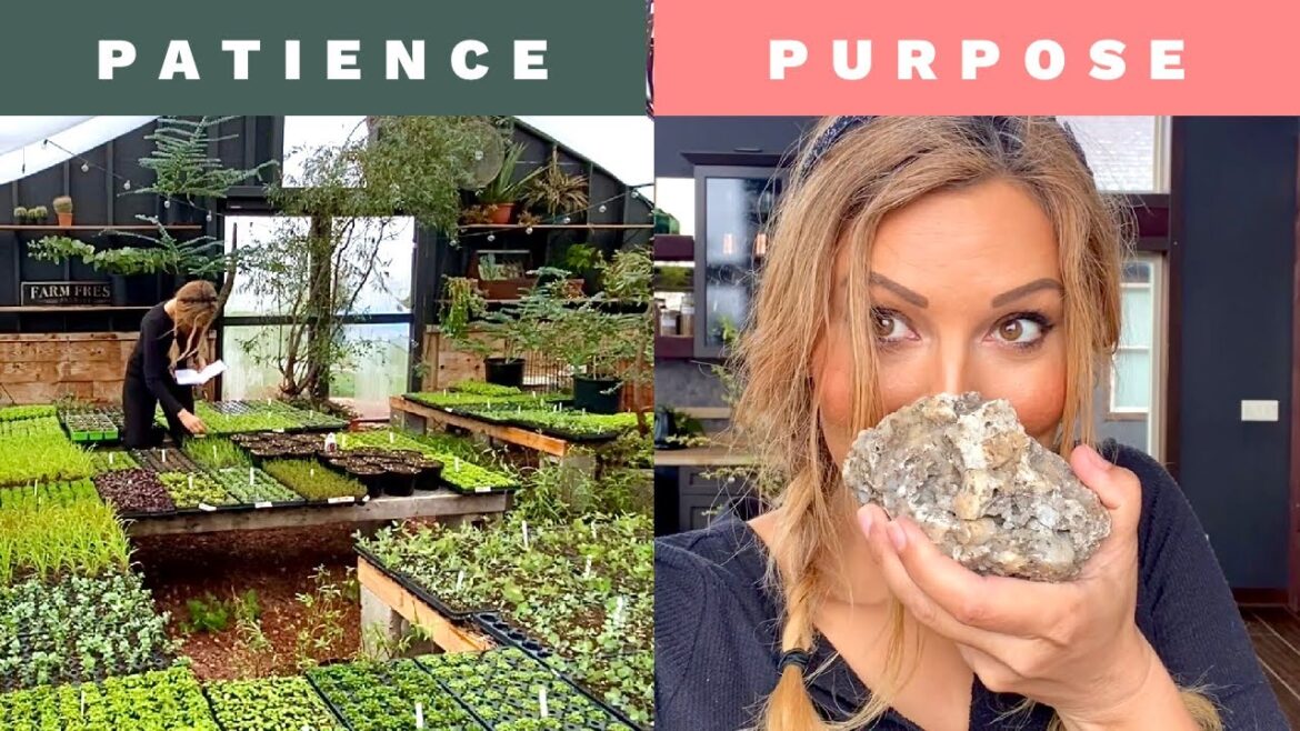 Patience and Purpose in the Garden | Vlog April 17, 2023 Patience and Purpose in the Garden | Vlog April 17, 2023