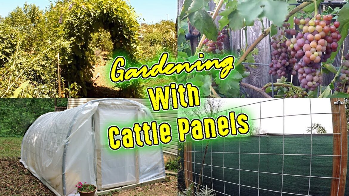 5 Awesome Ways To Use Cattle Panels In Your Garden Design | Cheap, Easy & Effective!