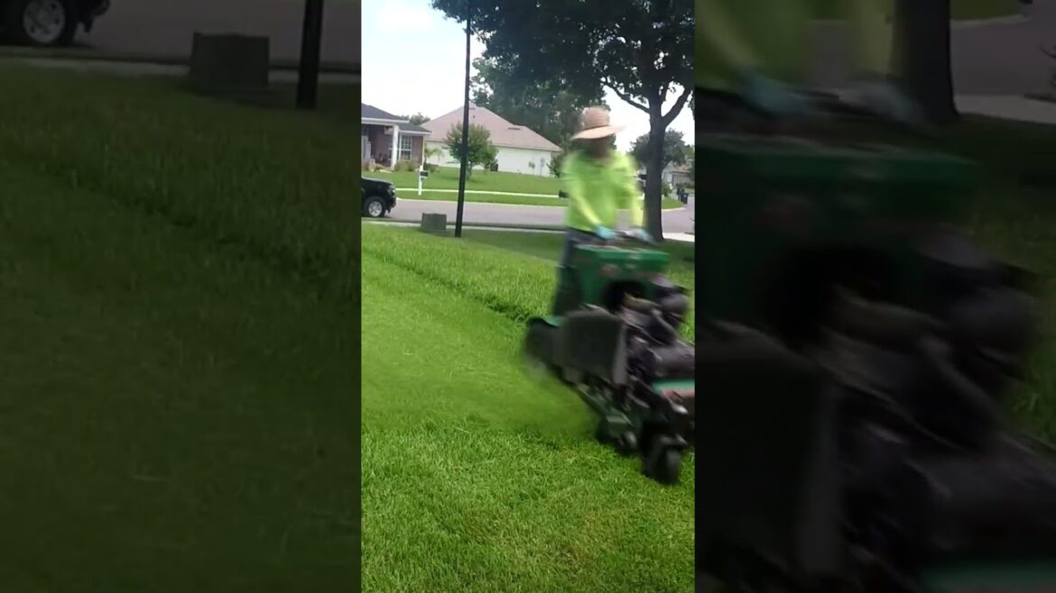 Mowing a stranger's lawn for free