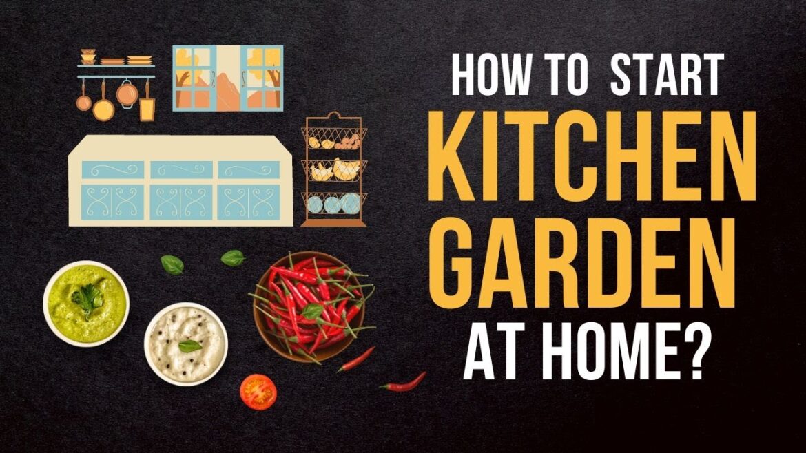 How to start kitchen garden at home? | 5 Tips For Kitchen Gardening