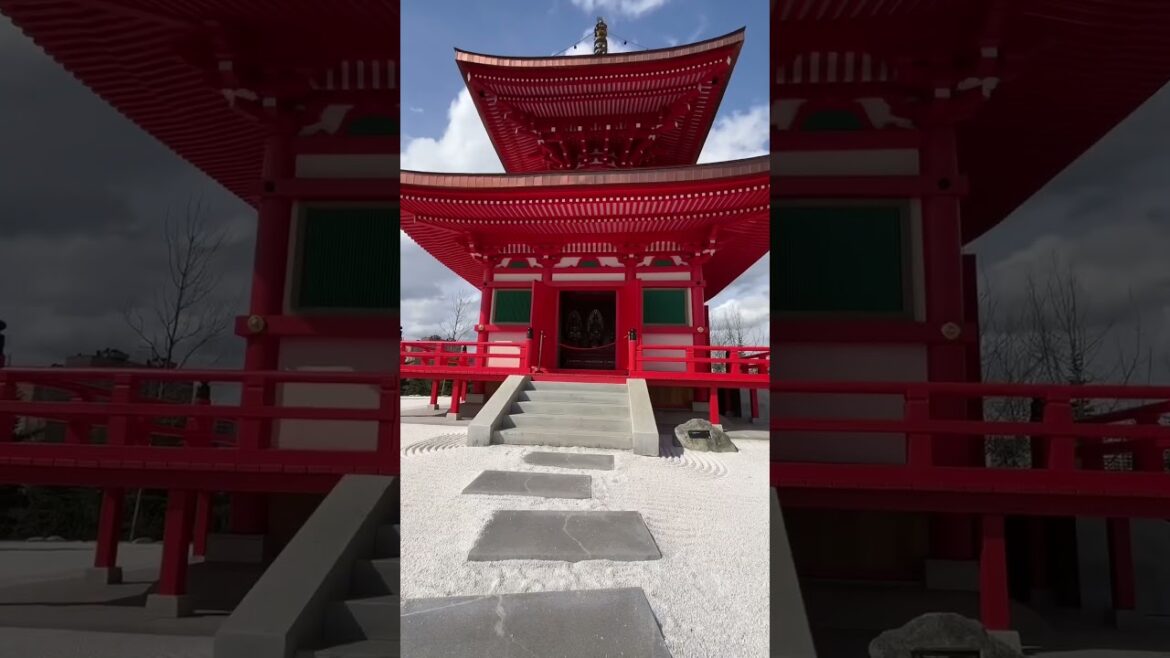 Японский Сад Краснодар Japanese Garden Krasnodar 日本庭園クラスノダール #日本 #japan