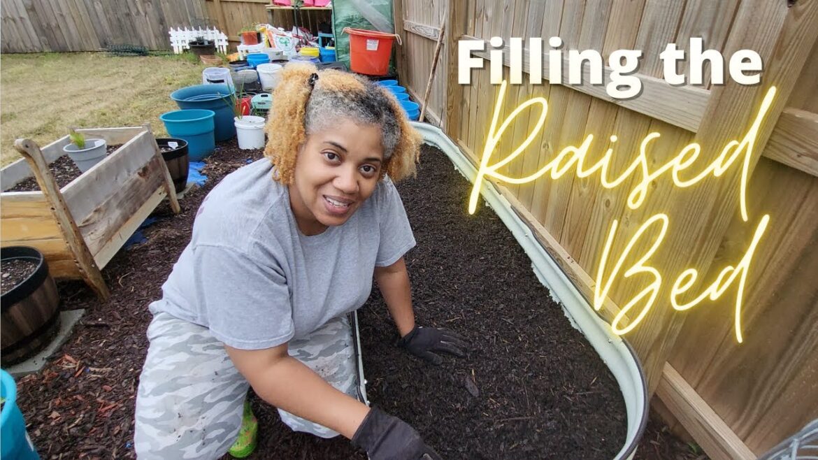 Filling the Raised Bed For CHEAP! | Beginner Container Gardening | Backyard Gardening Filling the Raised Bed For CHEAP! | Beginner Container Gardening | Backyard Gardening