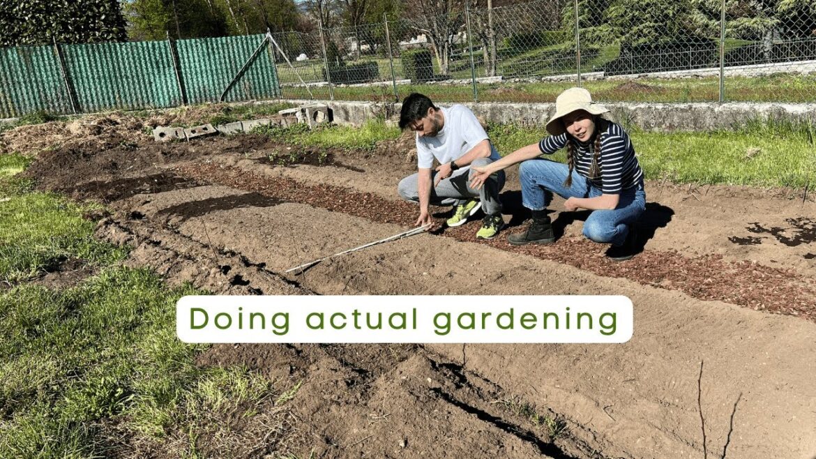 Planting, watering and making the garden beds  | Our Italian garden diaries