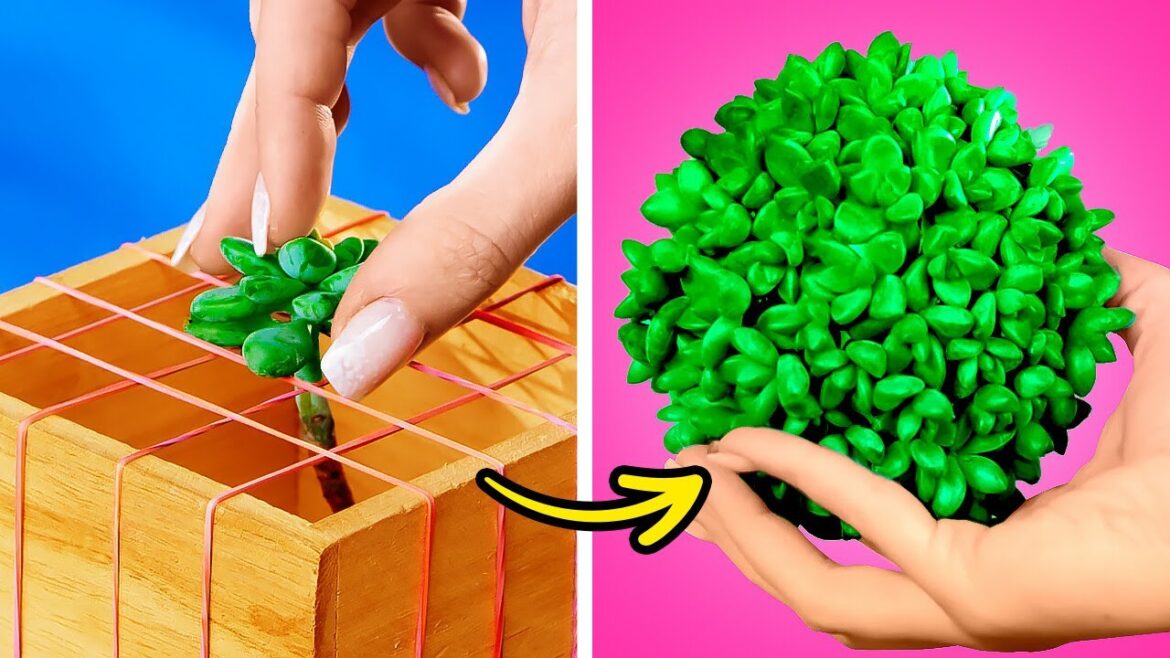 NICE HACKS TO GROW YOUR OWN PLANTS || Gardening tips for beginners