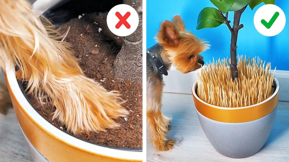 Awesome Plant Growing Hacks And DIY Gardening Ideas Awesome Plant Growing Hacks And DIY Gardening Ideas