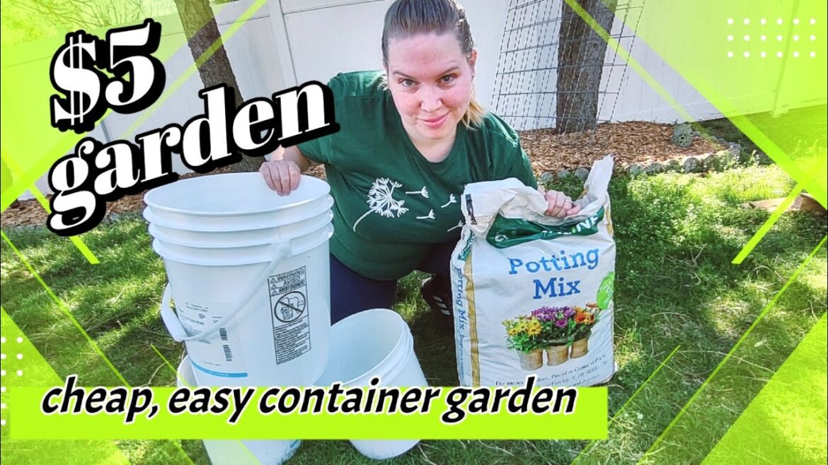CHEAP & EASY $5 Container Garden & what you can GROW #backyardgarden CHEAP & EASY $5 Container Garden & what you can GROW #backyardgarden