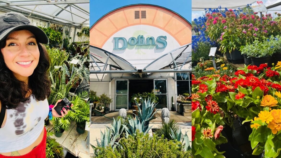 PLANT SHOPPING at DOLINS Garden Center - St. Pete FL! Plant Tour & Shopping Haul!