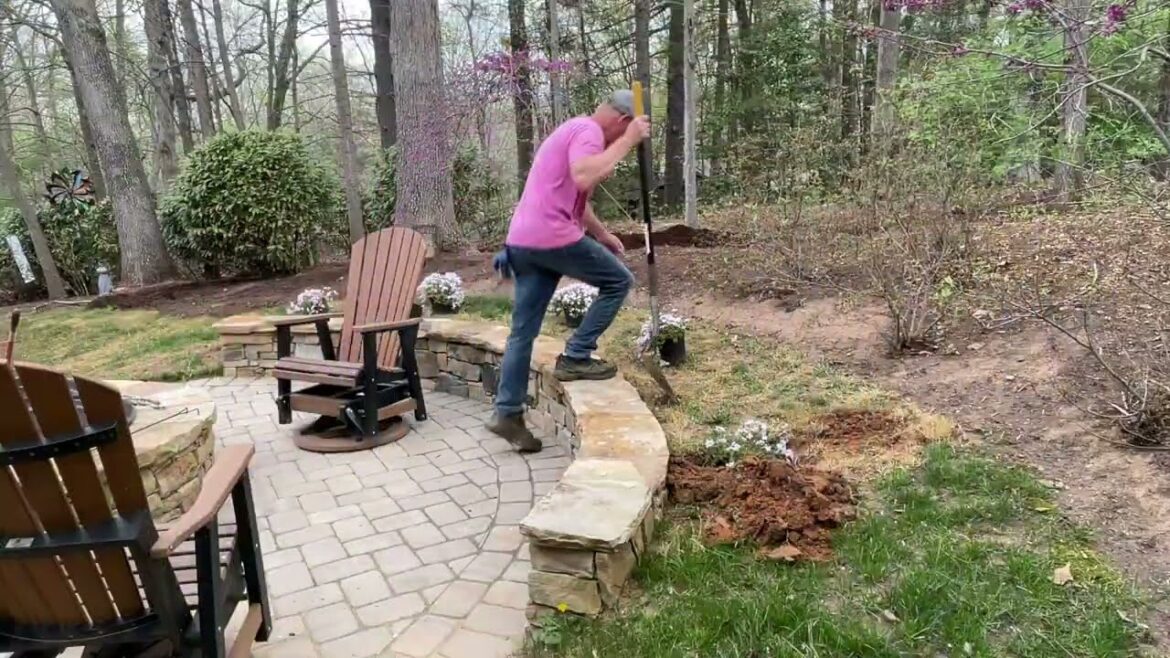 PLANTING A FEW PHLOX FOR A NEW MULCH PROJECT!