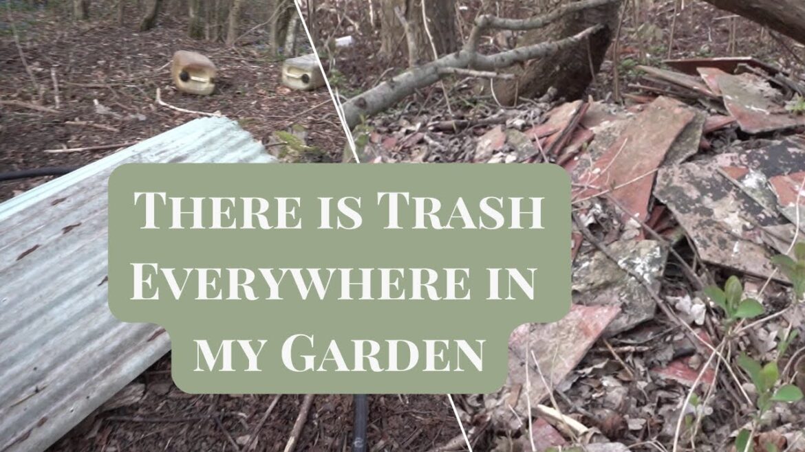 E10 I Challenged Myself to Work in the Garden Everyday for a Month and This Is How It Went...