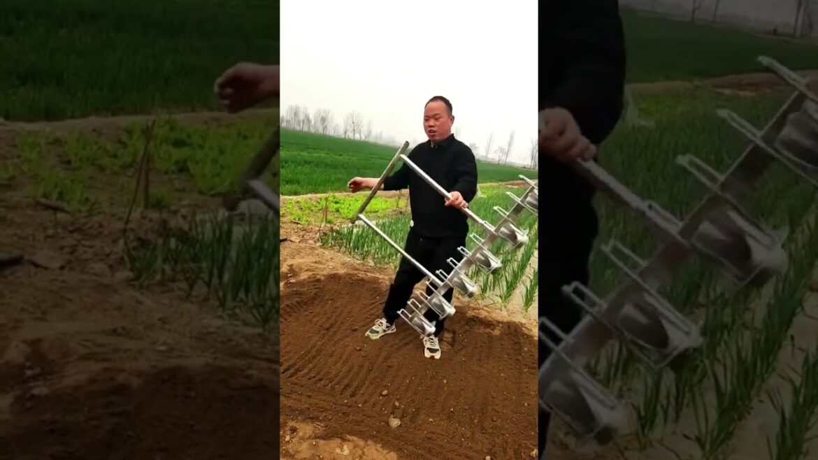 Great tools and gardening skills