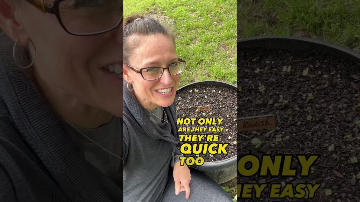 3 of The Easiest Foods You Should be Growing! – #beginnergardener #growingfood #shortsvideo 3 of The Easiest Foods You Should be Growing! - #beginnergardener #growingfood #shortsvideo