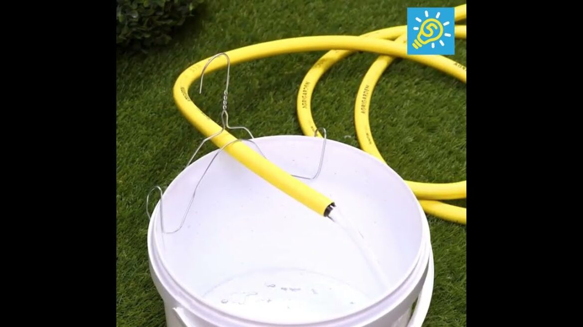 Crazy & Practical Garden Ideas! #crafts #gardentips Crazy & Practical Garden Ideas! #crafts #gardentips