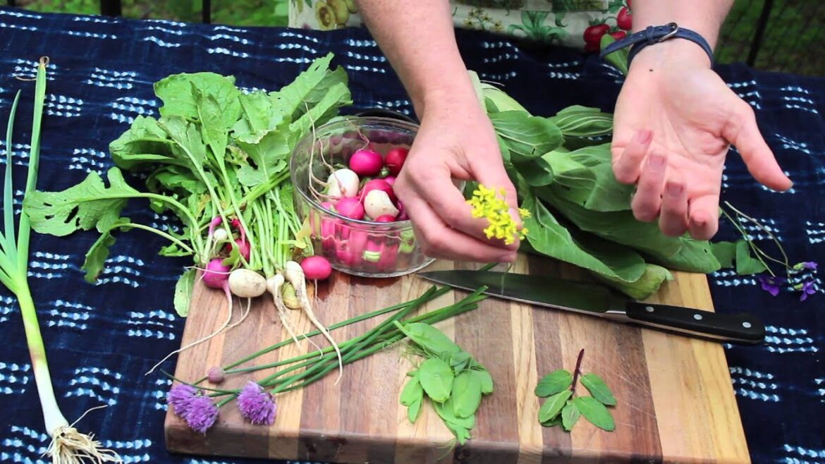Edible Garden: Spring Veggies