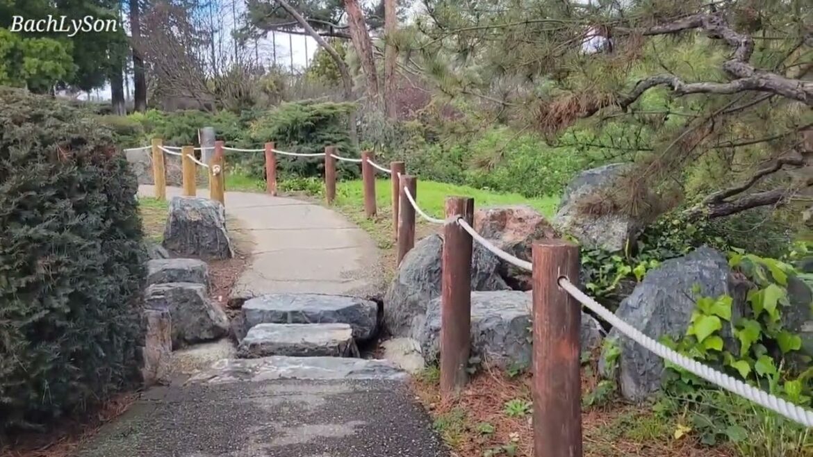 Relaxing Music with Japanese Garden Touring - BachLySon - Vlg01