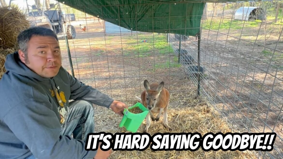 We Had Big Plans, But Unfortunately It’s Time To Say Goodbye.