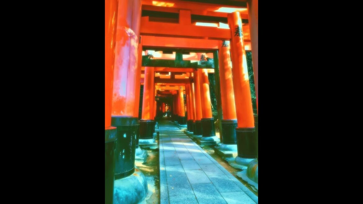 【Japanese Landscape】#shorts #Japan #beautiful #temple #kyoto
