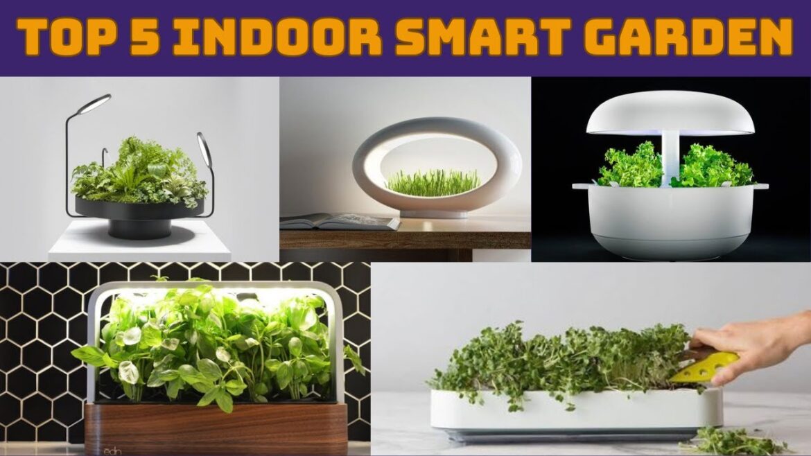 Top 5 Indoor Smart Garden Ideas