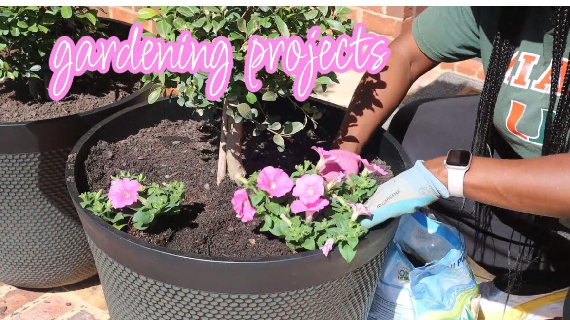 Planting a paradise: Creating my own calming garden | planting annuals and bulbs Planting a paradise: Creating my own calming garden | planting annuals and bulbs
