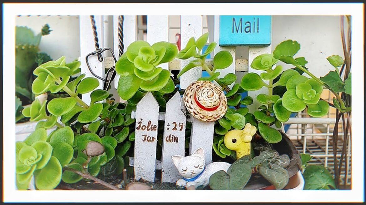 A Garden of tranquility and hope. A Garden of tranquility and hope.