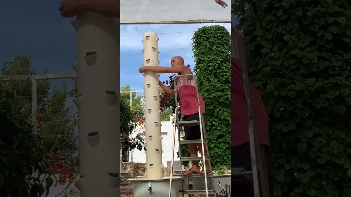 HOW TO? Tutorial  Tower garden assembly #towergarden #towerfarms
