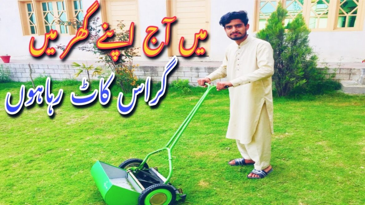 Watch me cut the grass at home - a satisfying vlog!#viralvideos #2023 \ BY VLOGS TV