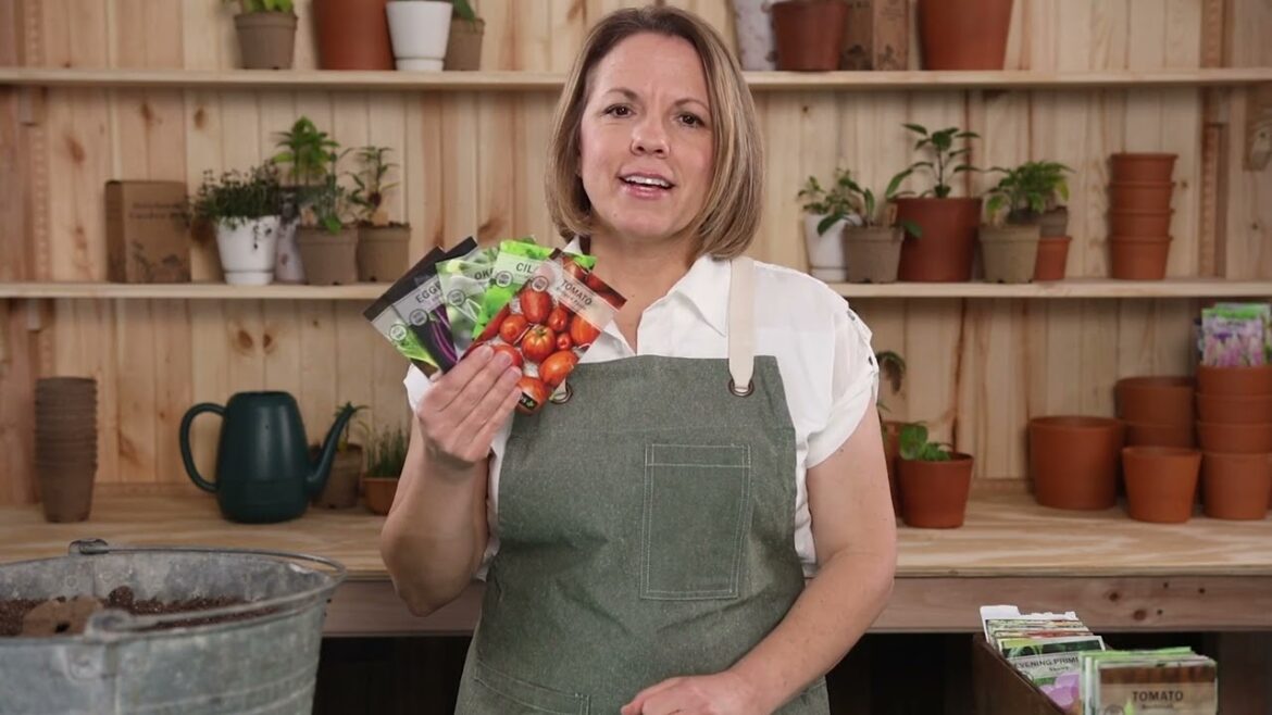 Sow Right Seeds | Grow Indian Vegetables from Seed | Indian Vegetable Garden Seed Collection