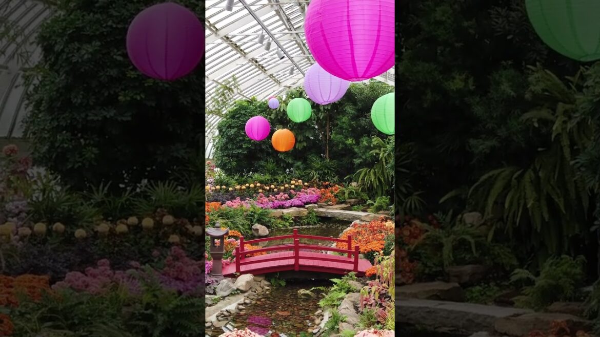 Awesome trip to see the Phipps Japanese Garden Exhibit? #Shorts #Pittsburgh #travel