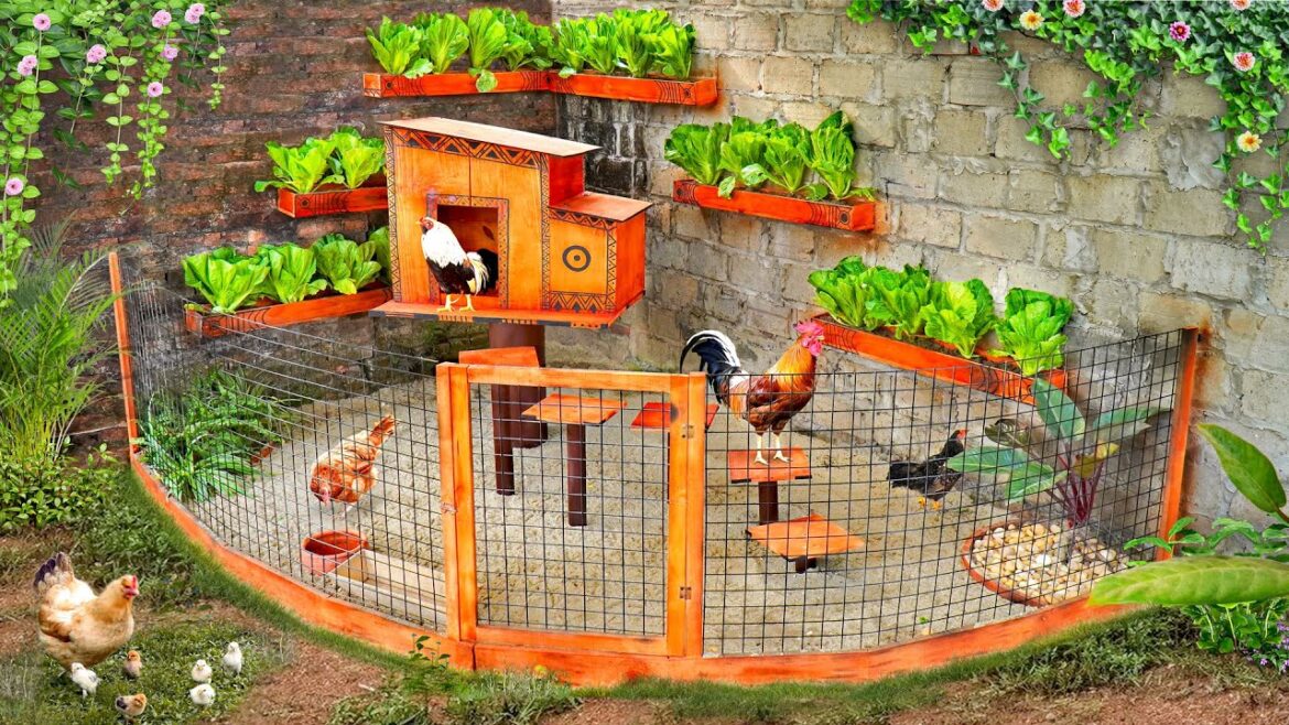 Chicken coop and hanging garden-Best combination for your small garden