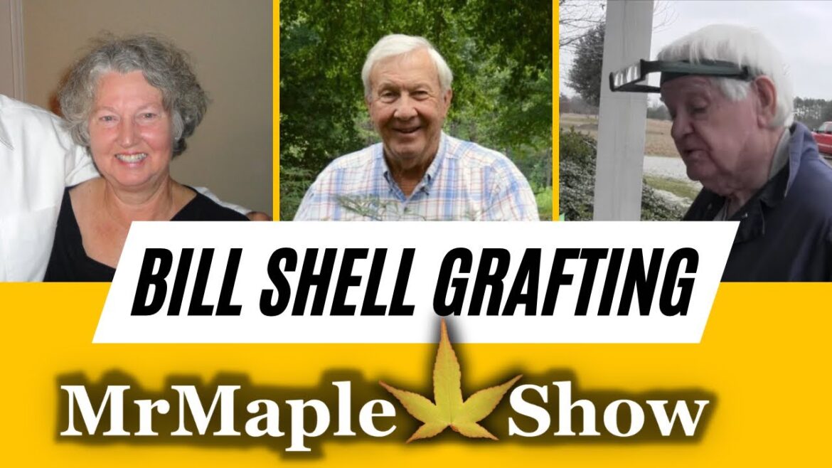 Grafting Japanese Maples with Alabama Legends ~ Coach Pat Dye, Bill Shell & Peggy Deharmen