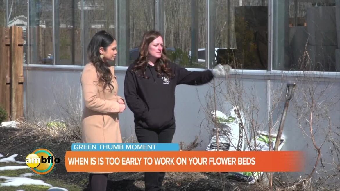 Green Thumb Moment at Lavocat's