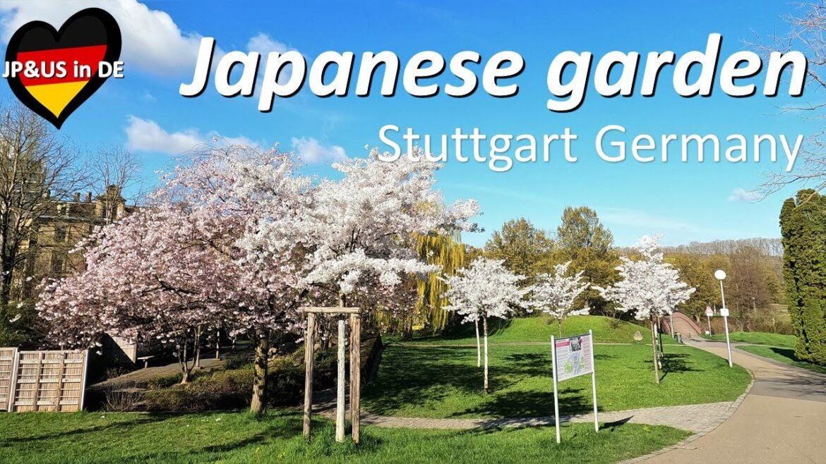 【Cherry Blossoms in Germany🇩🇪】Stuttgart Spring Japanese Garden / Spring Blooming Park Walking Tour