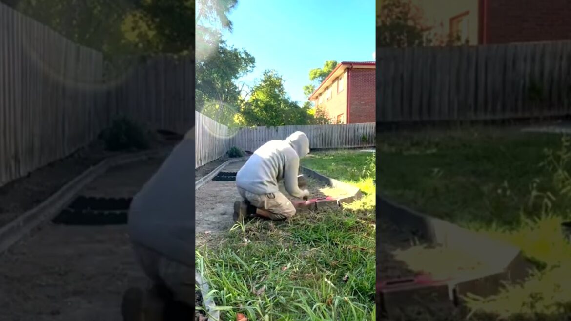 Watch What Happens When You Add a Garden Bed in Front of Another!" #shorts#landscapingideas