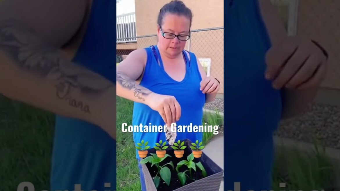 Container Gardening #shorts